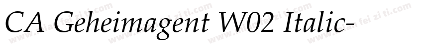 CA Geheimagent W02 Italic字体转换